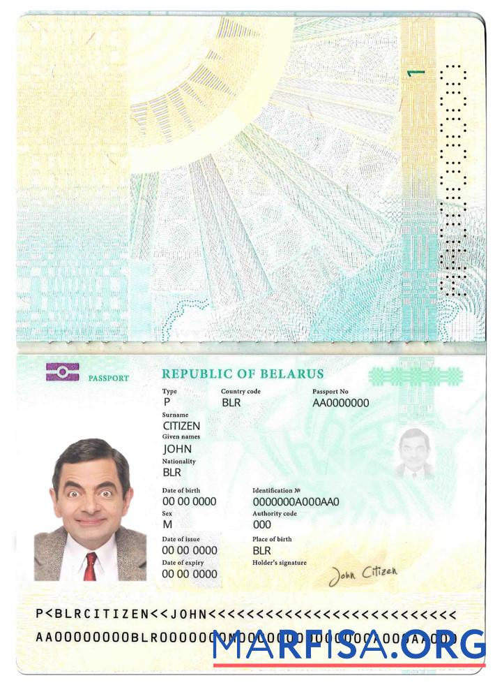 Printable Belarus pass (2020 present) real example